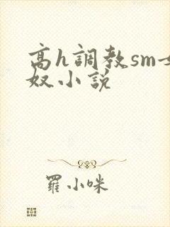 高h调教sm女奴小说封面