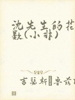 沈先生的花式调数(小非)