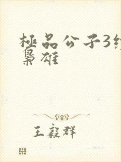 极品公子3续世枭雄