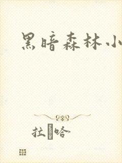 黑暗森林小说