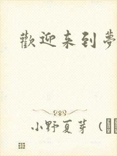 欢迎来到梦乐园