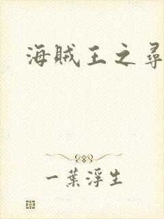 海贼王之寻亲记