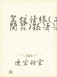 驾校情缘(老树开花)孙潇潇第一次趣笔阁封面