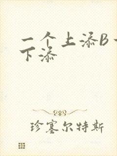 一个上添B一个下添