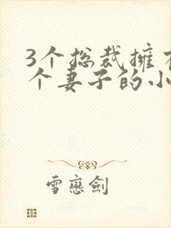 3个总裁拥有一个妻子的小说封面