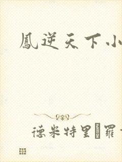 凤逆天下小说封面