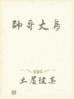帅哥大鸟封面