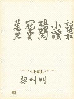 叶冠阳小说全文免费阅读最新章节