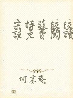 宋持苏皎皎的小说免费阅读