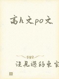 高h文po文