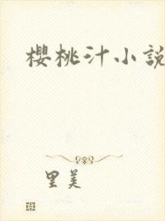 樱桃汁小说