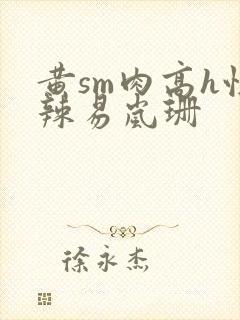 黄sm肉高h性辣易岚珊