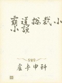 霸道总裁小娇妻小说