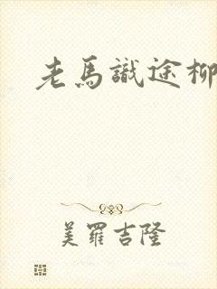 老马识途柳娇娇