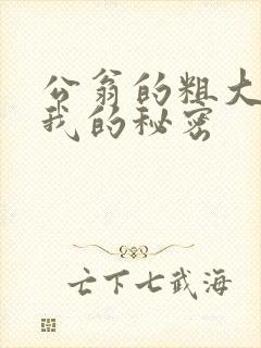 公翁的粗大放进我的秘密