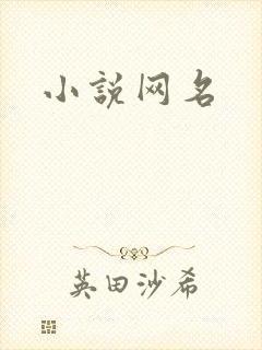 小说网名