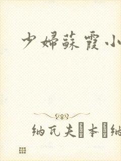 少妇苏霞小说封面