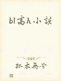 bl高h小说
