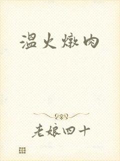 温火炖肉封面