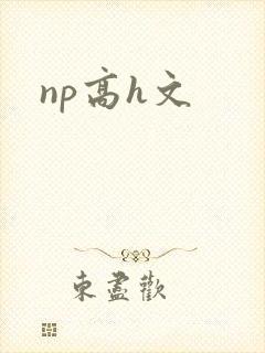 np高h文