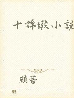 十锦缎小说