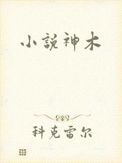 小说神木封面