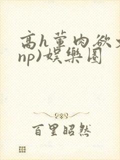 高h荤肉欲文(np)娱乐圈