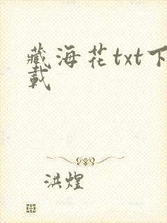 藏海花txt下载封面