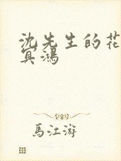 沈先生的花式调冥鸿