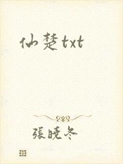 仙楚txt封面