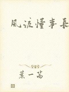 风流懂事长封面