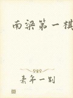 南梁第一棋手