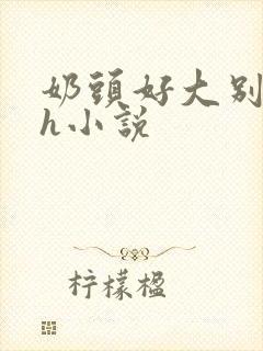 奶头好大别吸了h小说