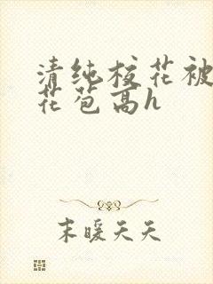 清纯校花被迫开花苞高h封面