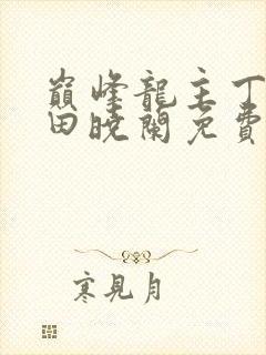 巅峰龙主丁长顺田晓兰免费阅读