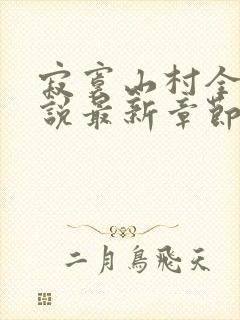 寂寞山村全部小说最新章节