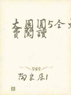 大团圆5全文免费阅读