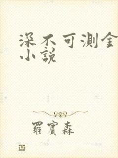 深不可测金银花小说