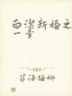 白洁新婚之夜第一章