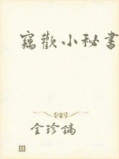 窃欢小秘书