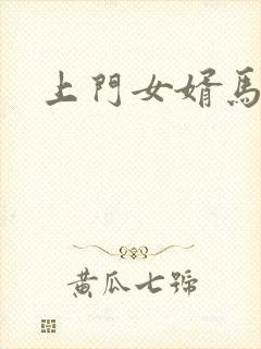 上门女婿马四辈封面