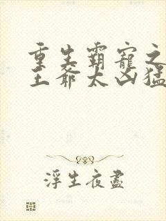 重生霸宠之摄政王爷太凶猛