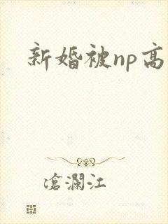 新婚被np高h