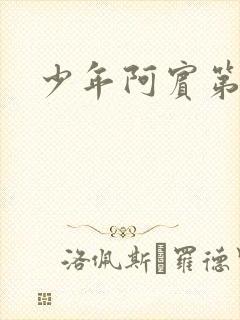 少年阿宾第八章