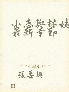 小志与林姨小说最新章节封面