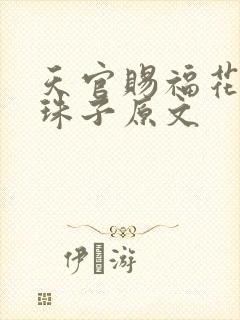 天官赐福花怜塞珠子原文