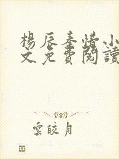 杨辰秦惜小说全文免费阅读完整版封面