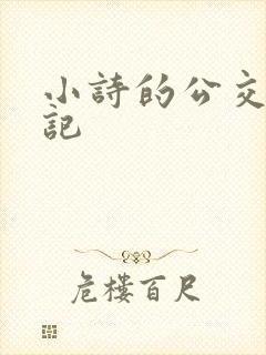 小诗的公交车日记封面