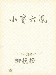 小宝六凤