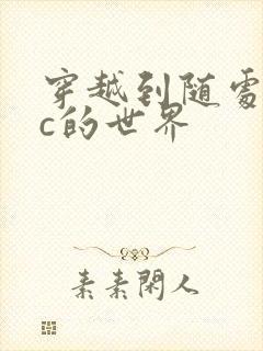 穿越到随处可以c的世界